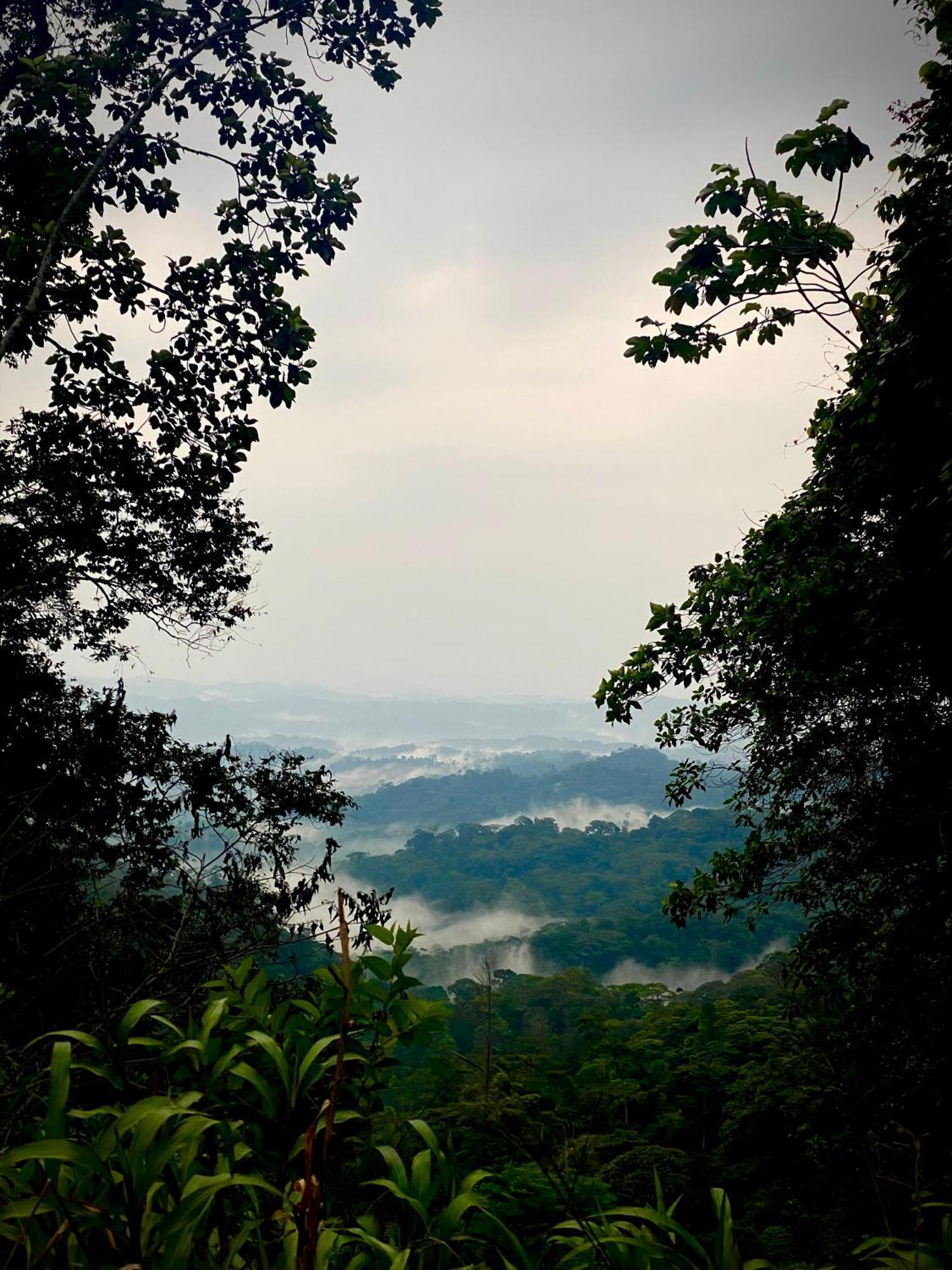 Vila Casa En Santuario Natural En La Amazonia Veracruz  Exteriér fotografie