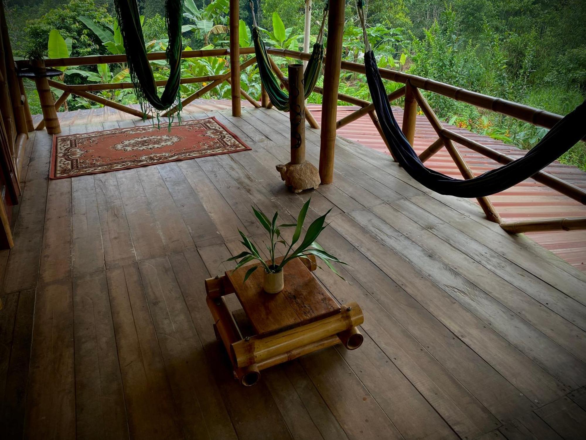 Vila Casa En Santuario Natural En La Amazonia Veracruz  Exteriér fotografie