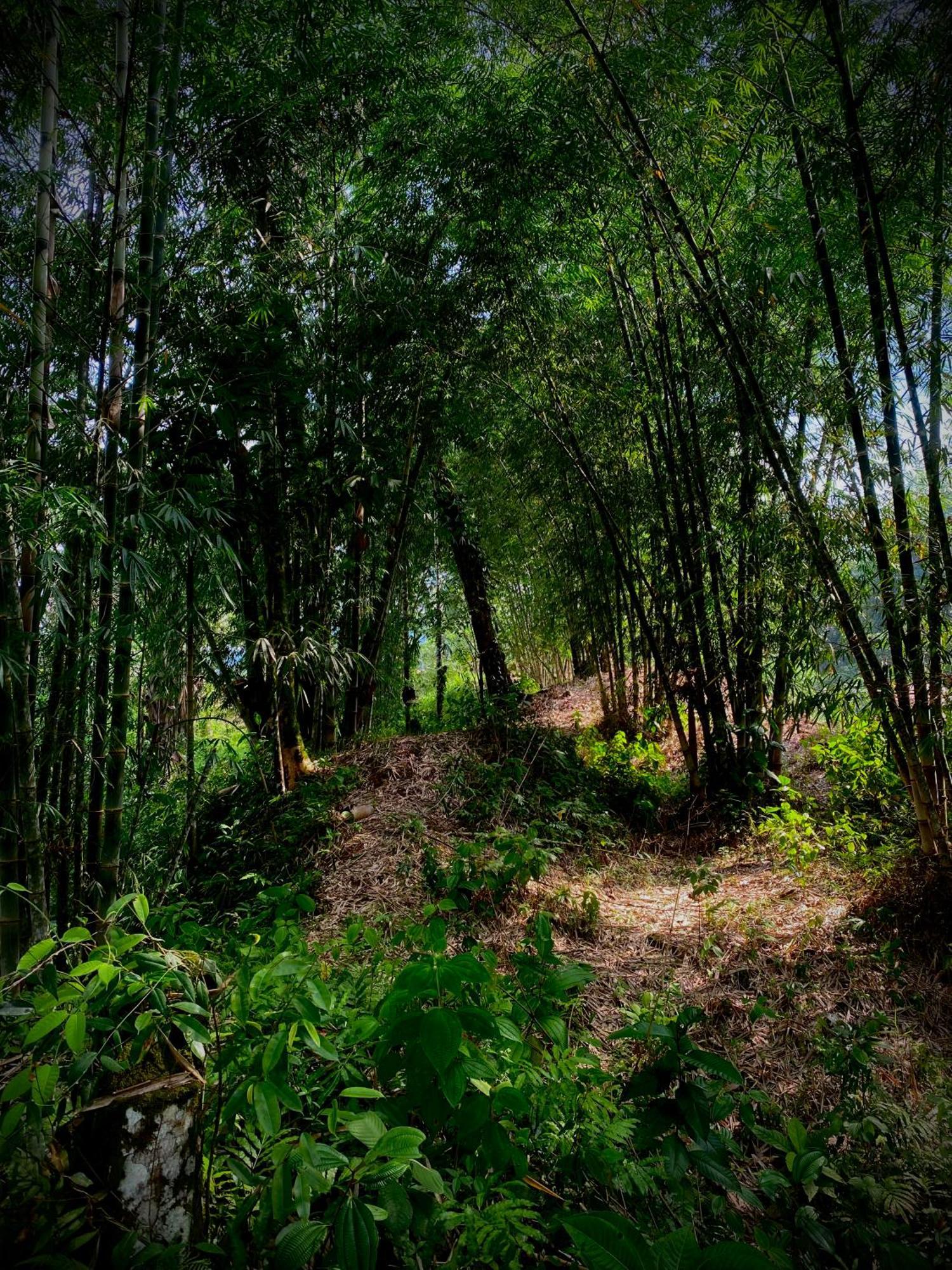 Vila Casa En Santuario Natural En La Amazonia Veracruz  Exteriér fotografie