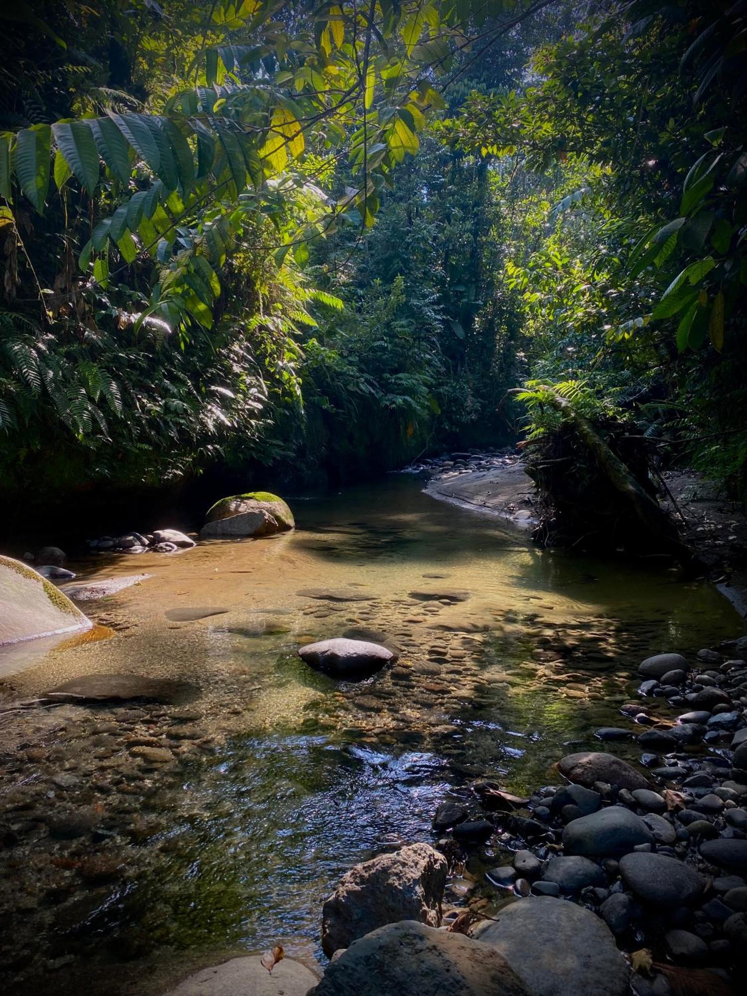 Vila Casa En Santuario Natural En La Amazonia Veracruz  Exteriér fotografie